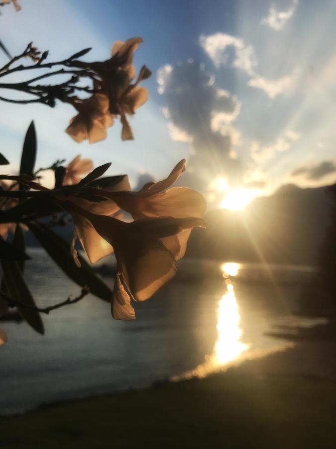 Gli Oleandri Hotel Белано Екстериор снимка